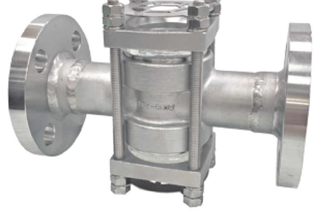 FB-DP F-Series flanged sight flow indicator with protection fence