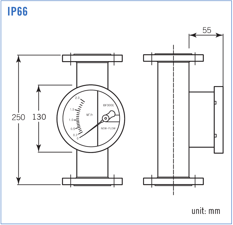 IP66 flanged model — 250 mm mounting length