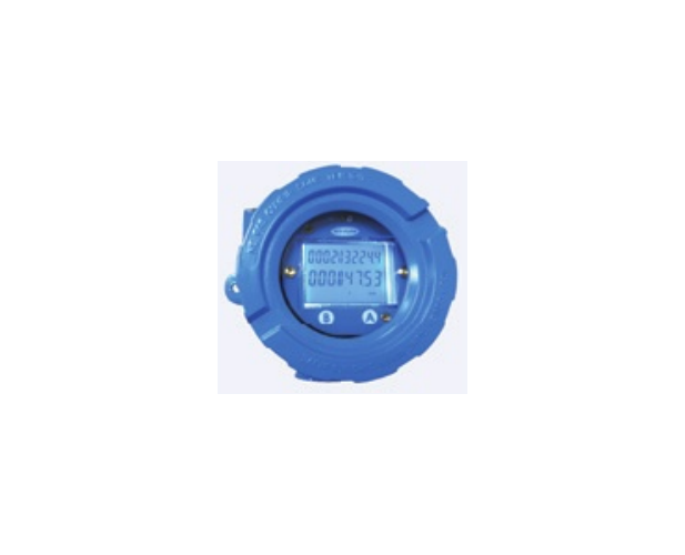 D-1000 explosion-proof LCD display