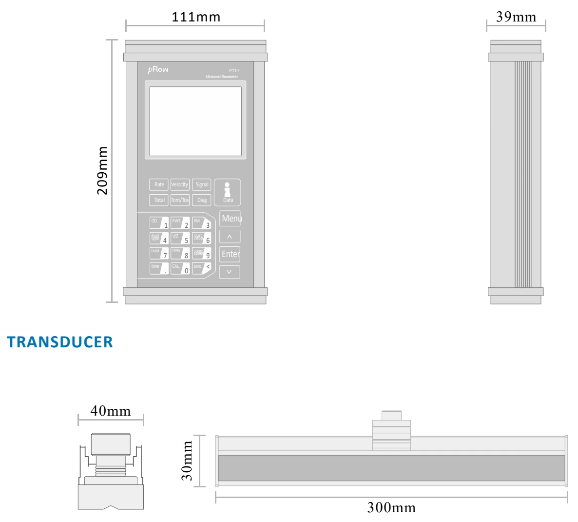 P117: complete original Transmitter and Transducer Dimensions — mm