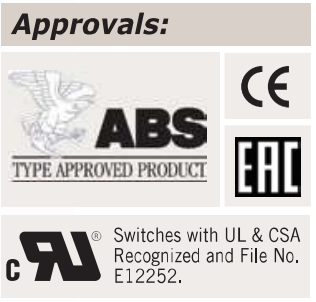 ABS, CE, EAC and UL/CSA switch recognition E12522
