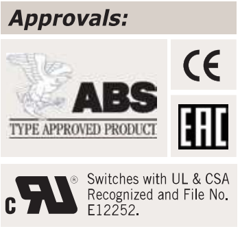 ABS, CE, EAC and UL/CSA switch recognition E12522